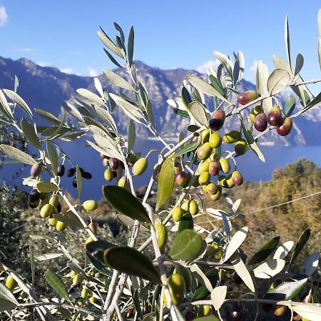 Appartamento Leccino Malcesine Dış mekan fotoğraf