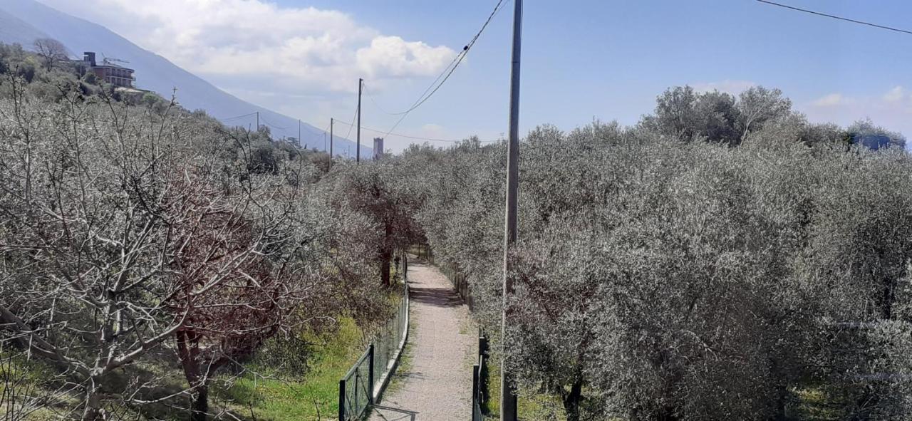 Appartamento Leccino Malcesine Dış mekan fotoğraf