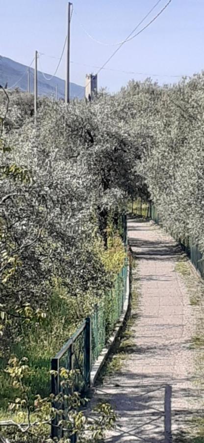 Appartamento Leccino Malcesine Dış mekan fotoğraf