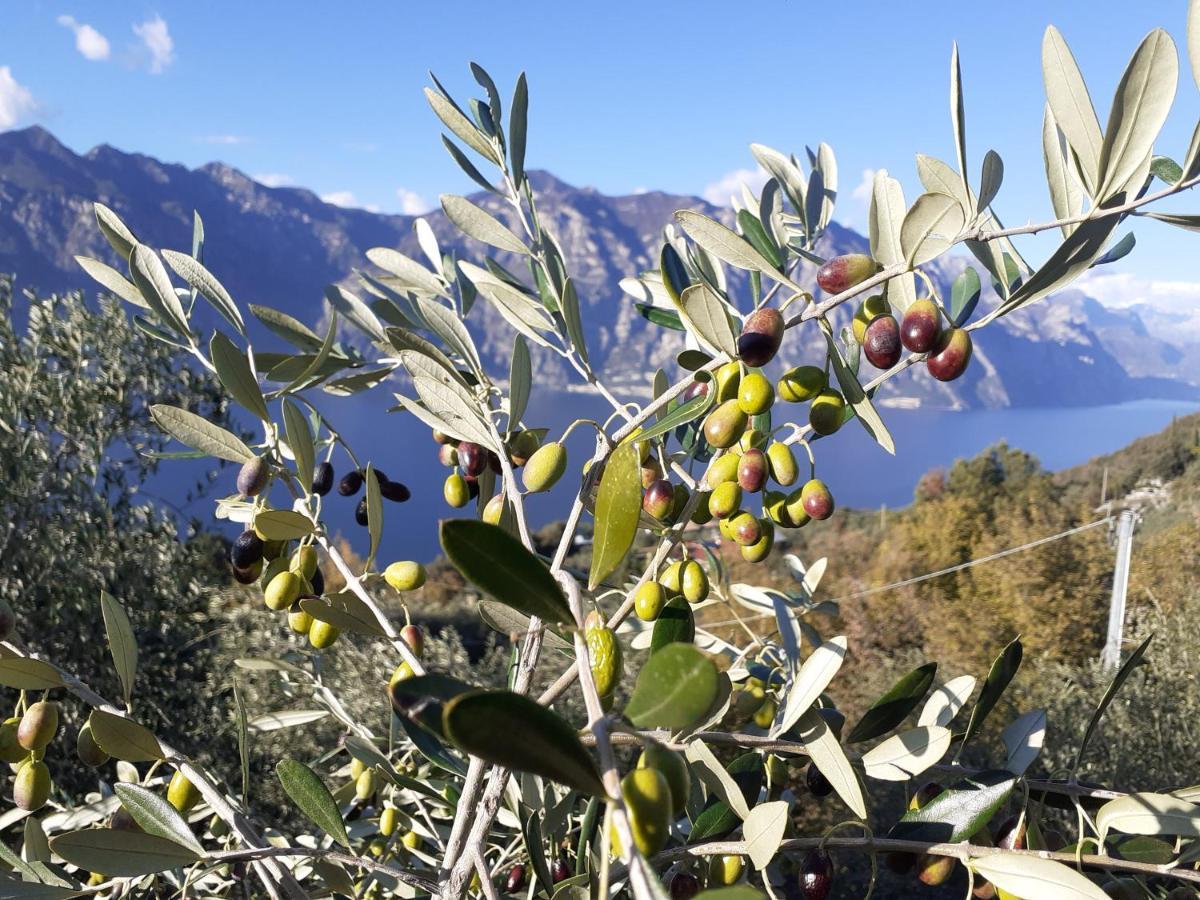 Appartamento Leccino Malcesine Dış mekan fotoğraf