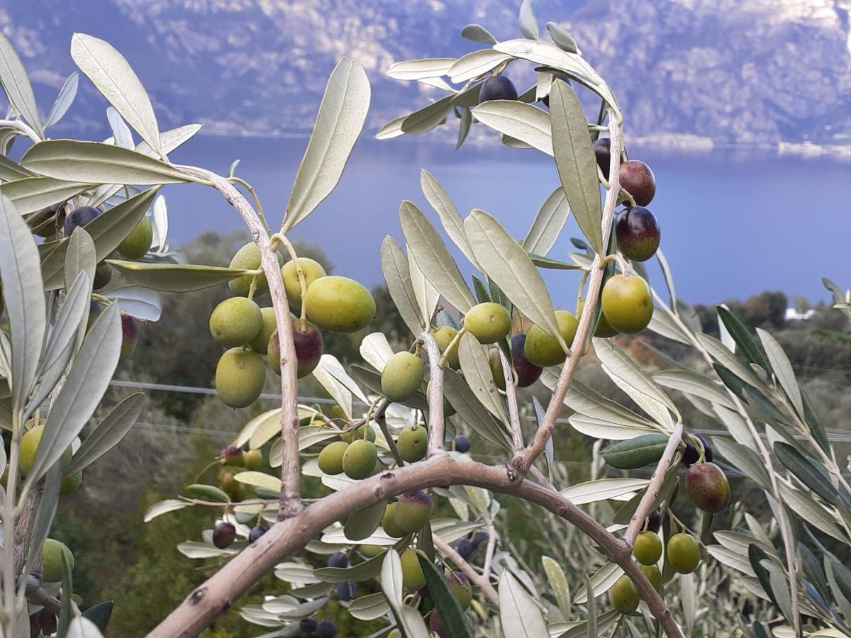 Appartamento Leccino Malcesine Dış mekan fotoğraf