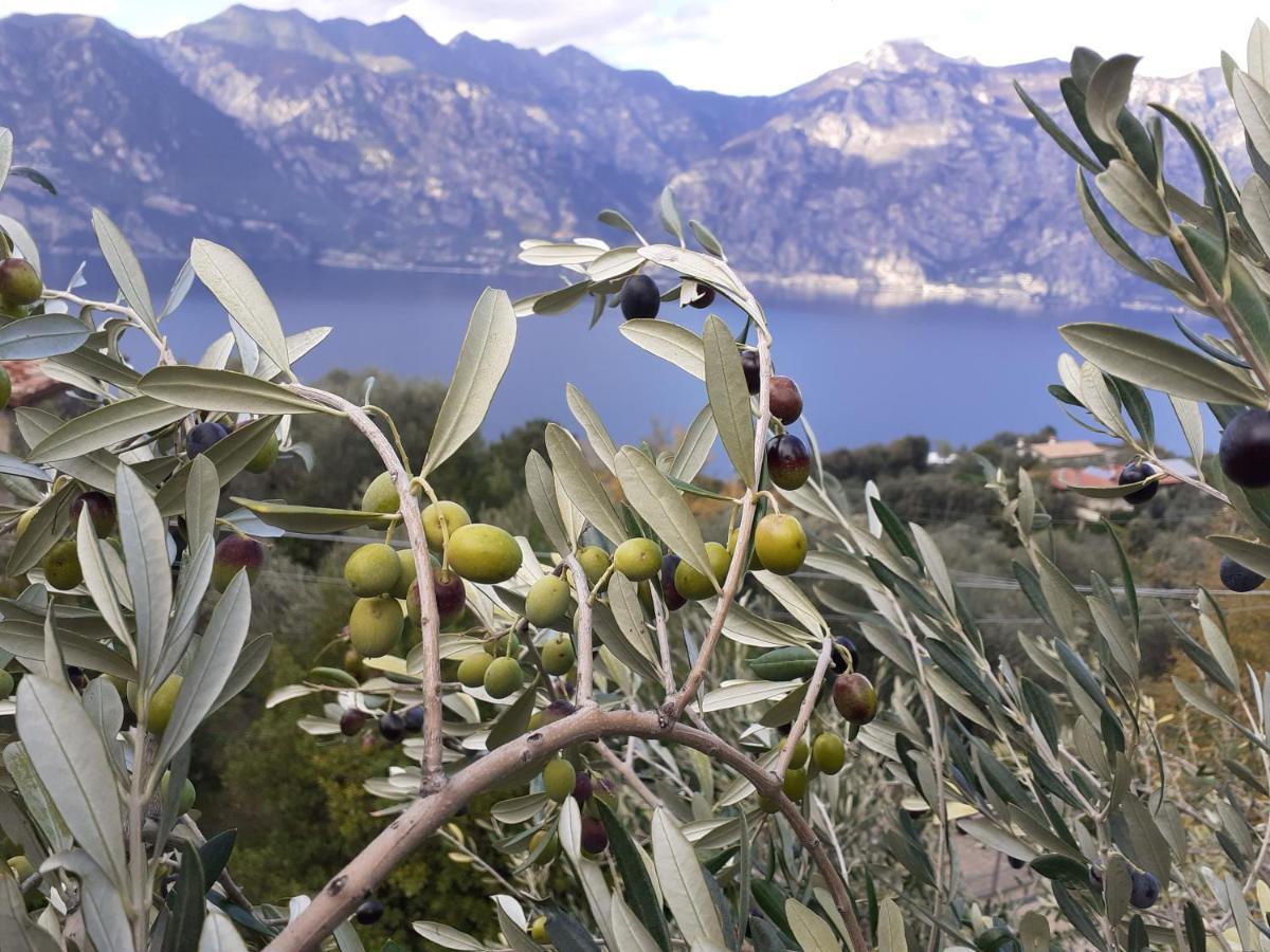 Appartamento Leccino Malcesine Dış mekan fotoğraf